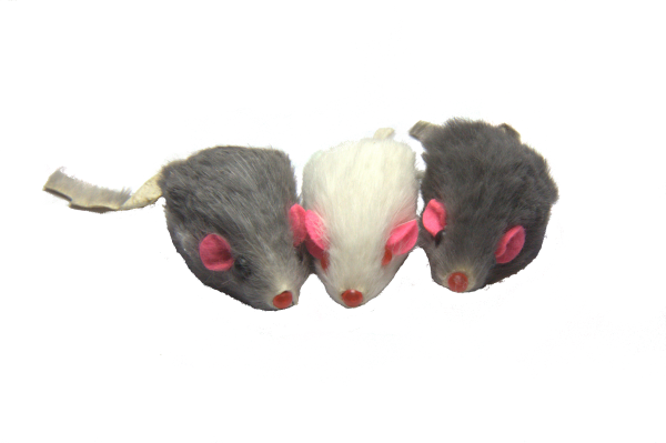 Dr. Pussums Mischief of Marinated Mice