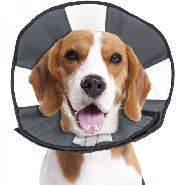 ZenPet D Zen Cone Recovery Collar M